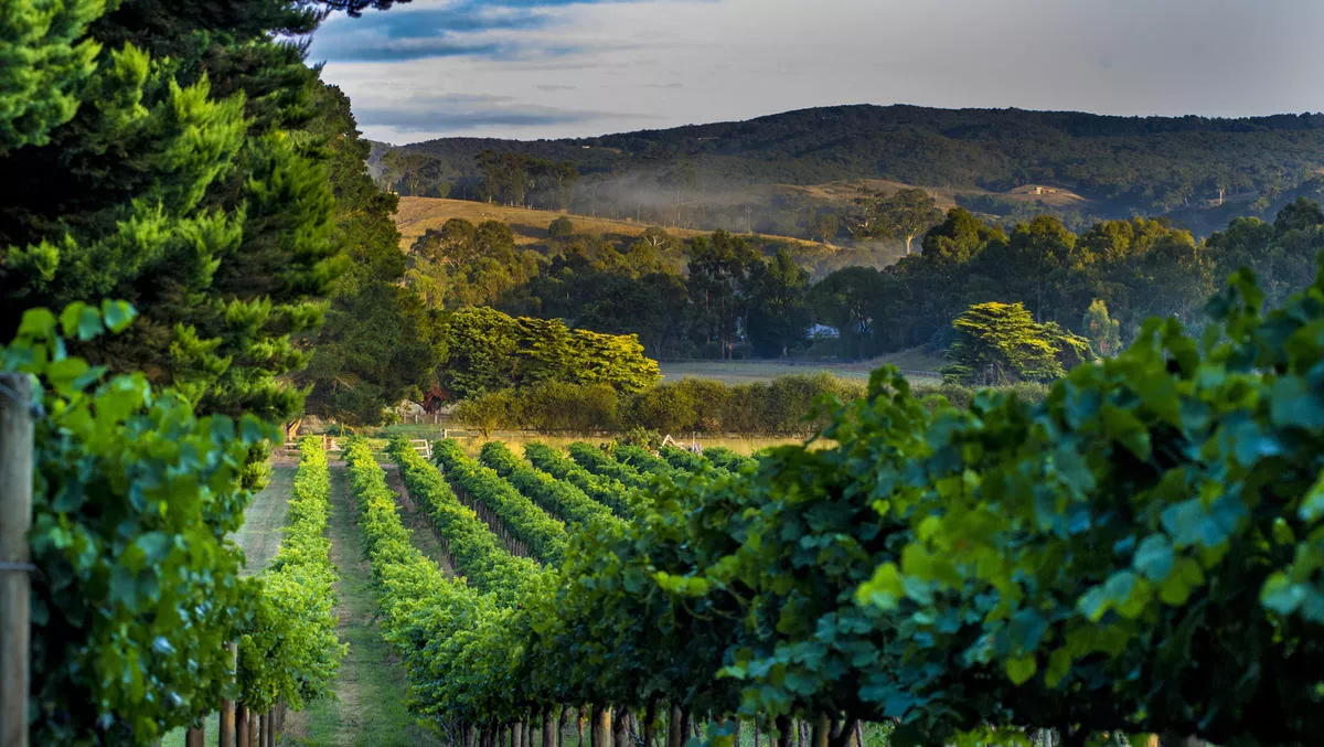 App of the Week: Rdio & Brancott Estate