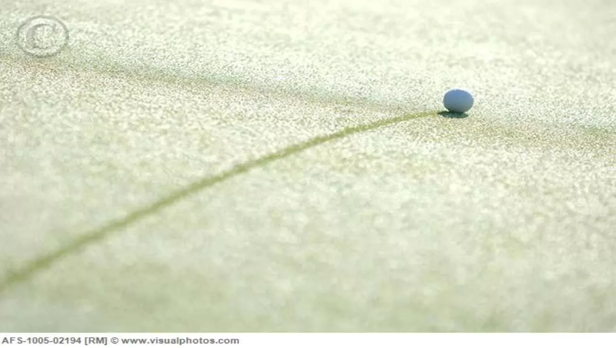 Get the ball rolling