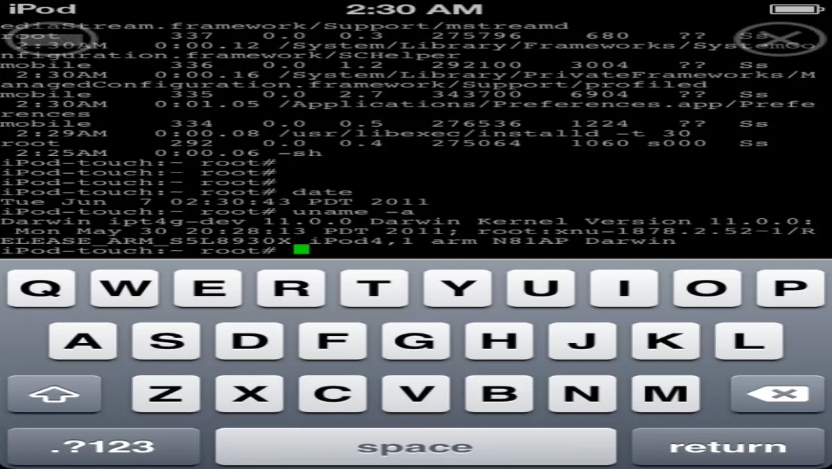 JailbreakMe developer lands Apple internship