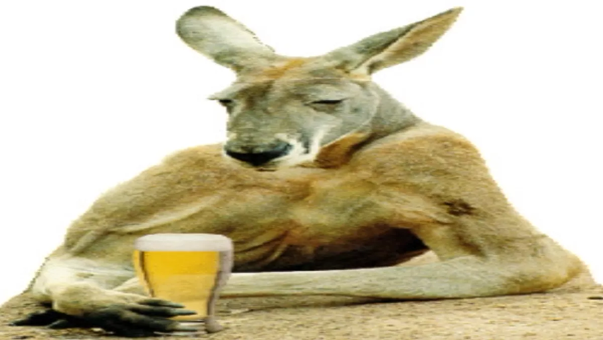 Aussies fall prey to scams
