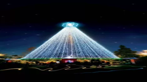 Trees light up cities for Xmas