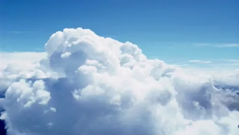 Riverbed collaborating in the cloud