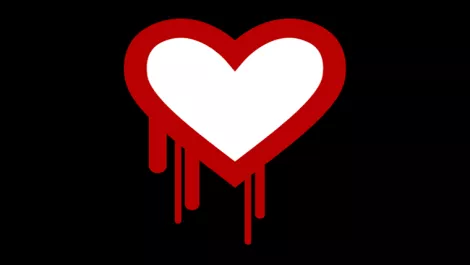Heart bleed bug 650x0