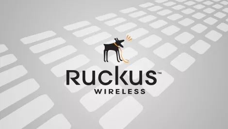 Partner ruckus 1