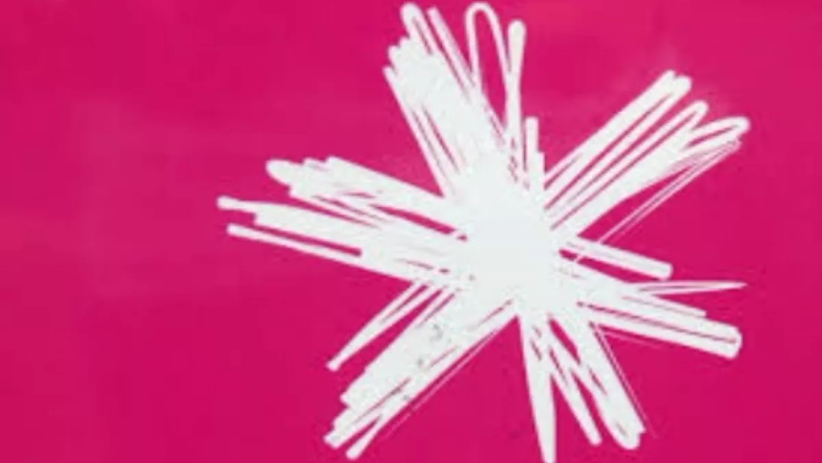 Lower South Island fibre internet cut by farmer