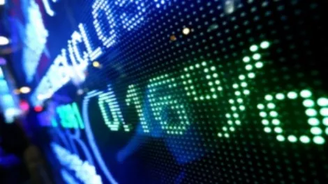 Nzx