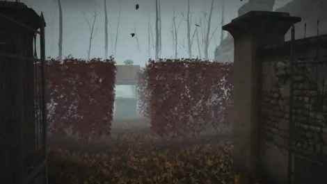 Cbhq1fy8ukyi7fmuq597a