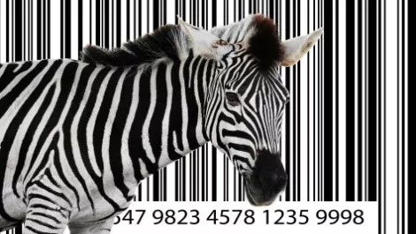 Zebra barcode
