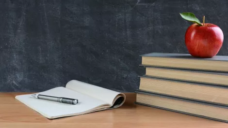 New Zealand teachers recognised for contributions