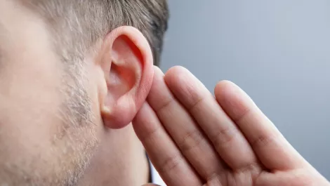 Ear