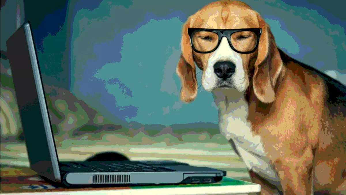 SPCA Auckland goes digital