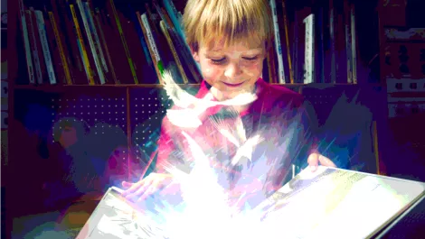 NZ ranks high in literacy levels