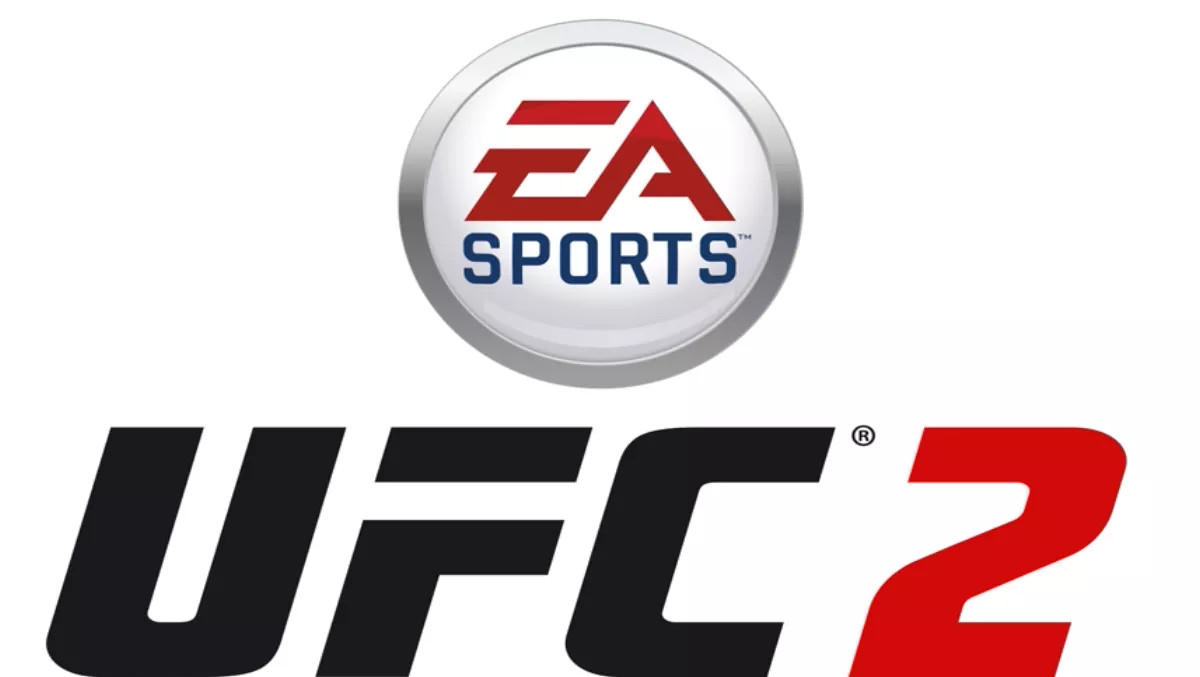 Developer interview: Brian Hayes Creative Director for UFC 2