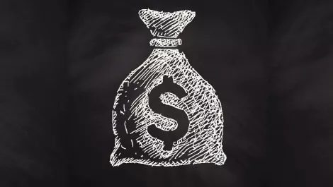 Money bag