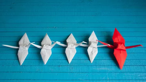 Thinkstockphotos 477114456