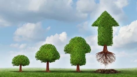 Thinkstockphotos 497267163