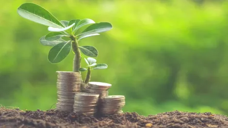 Thinkstockphotos 500213118