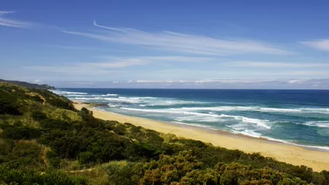 Thinkstockphotos 123200403736 001