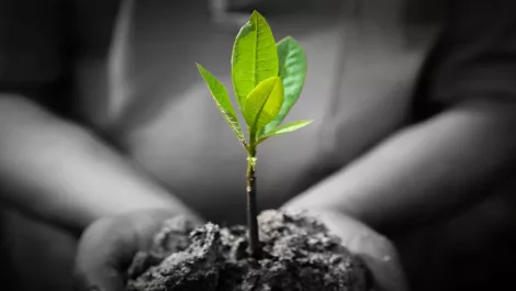 Thinkstockphotos 537928029