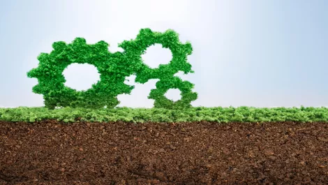 Thinkstockphotos 508129272