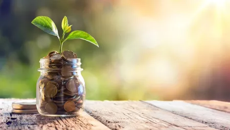 Money growing investment