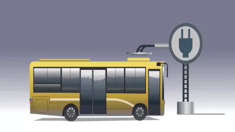 Electric buses confirmed for Wellington transport fleet