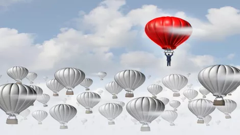 Thinkstockphotos 491679965