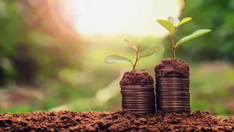 Thinkstockphotos 690018418