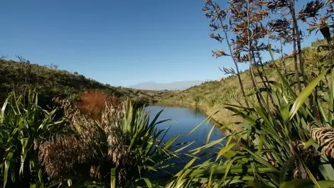 Palmerston North green grabs local government gold