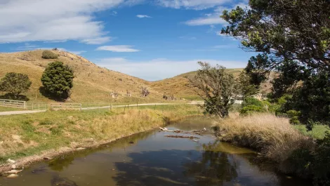 Thinkstockphotos 177745098