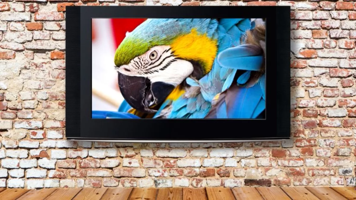 4K content is now abundantly available, but no one's watching it