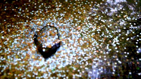 Screen shot 2018 03 05 at 1