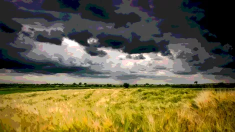 Screen shot 2018 10 29 at 4