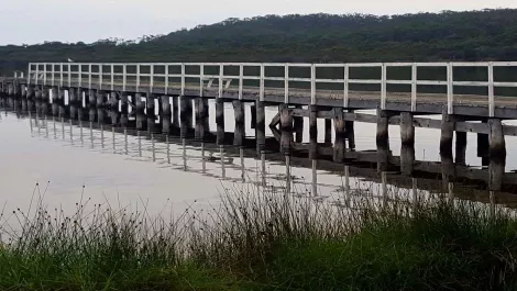 28423896 1654312044636351 752028483280293843 o