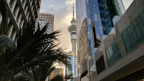 Westpac NZ collaborates with local AI startup
