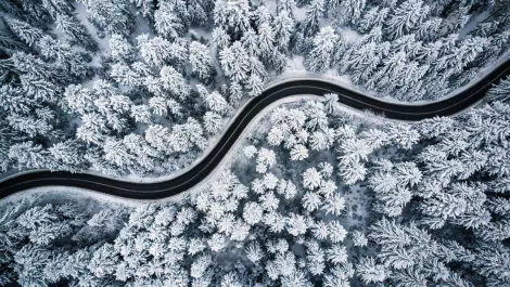 Gettyimages 10849496401