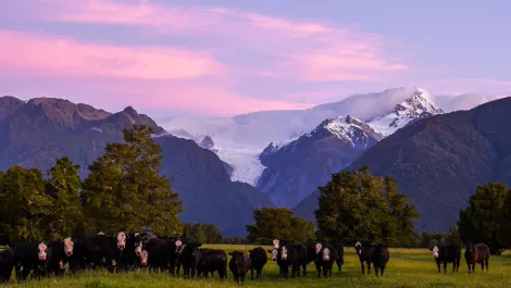 Gettyimages 1289476821