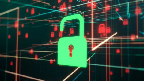 Coping with increasing cybersecurity challenges (from the good side and the bad!)