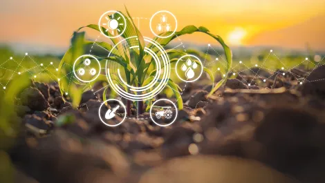 Gettyimages 1320570592