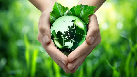 Gettyimages 489644415