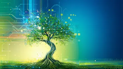 Techday fd3de503e726ddfcce9f