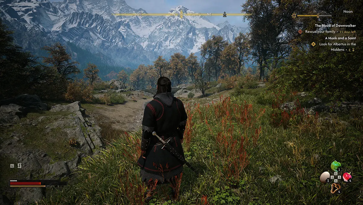 Game review: The Blood of Dawnwalker
